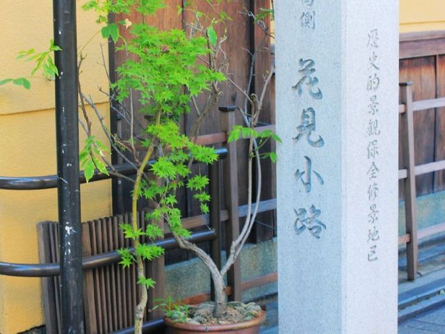 京都|鴨川/清水寺/地主神社