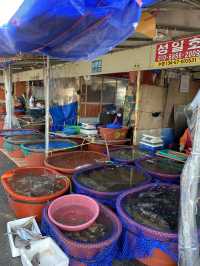 🌊 오이도 갯벌 + 칼국수 맛집 🌊