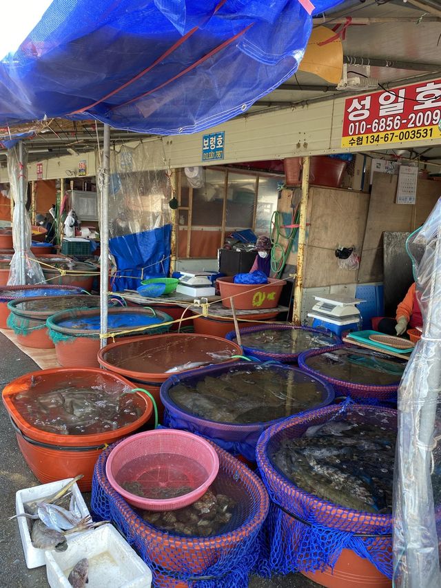 🌊 오이도 갯벌 + 칼국수 맛집 🌊