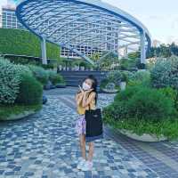 香港藝術館