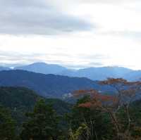 【東京・八王子】秋の高尾山