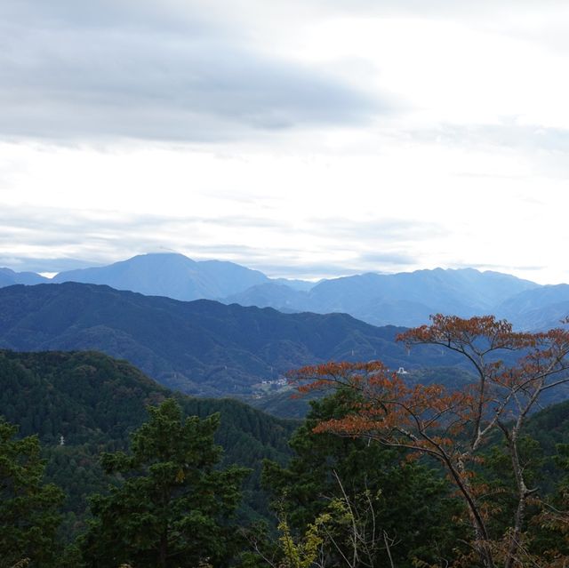 【東京・八王子】秋の高尾山