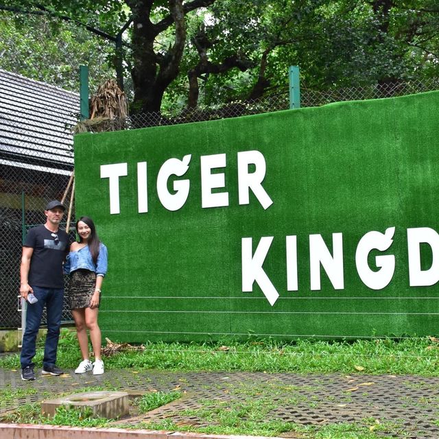 🐯Tiger Kingdom Phuket,Thailand 🇹🇭