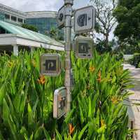 Istana Park