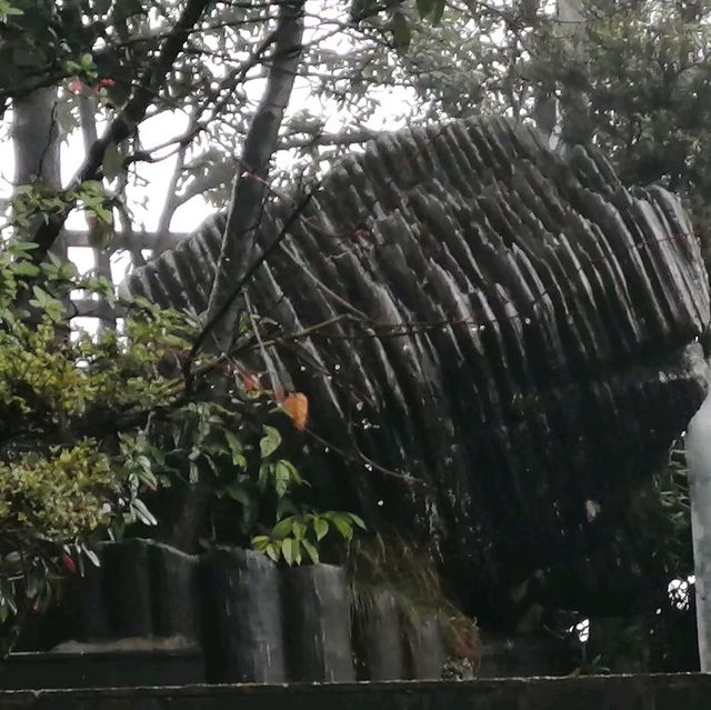 「地球最美麗的傷痕」雲龍地縫，二億前年的奇蹟👍🙇‍♂️🙇‍♀️