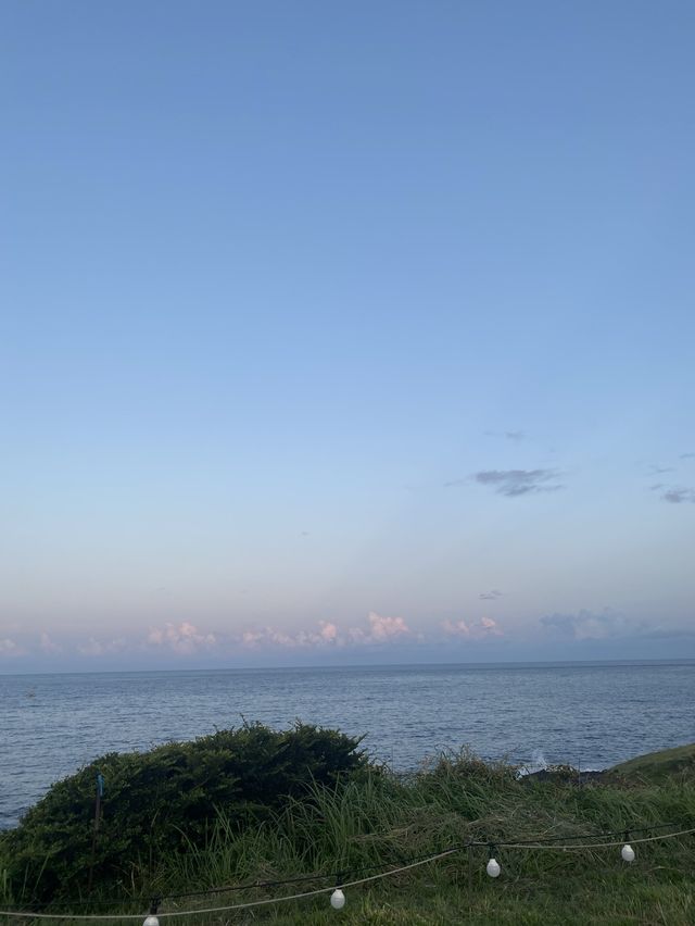 [제주 서귀포시] 영화 같은 뷰를 담은 카페 추천