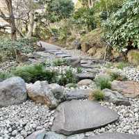 日本庭園の池