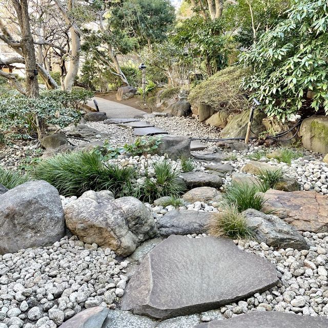 日本庭園の池