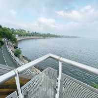 賞花攻略 大埔海濱公園