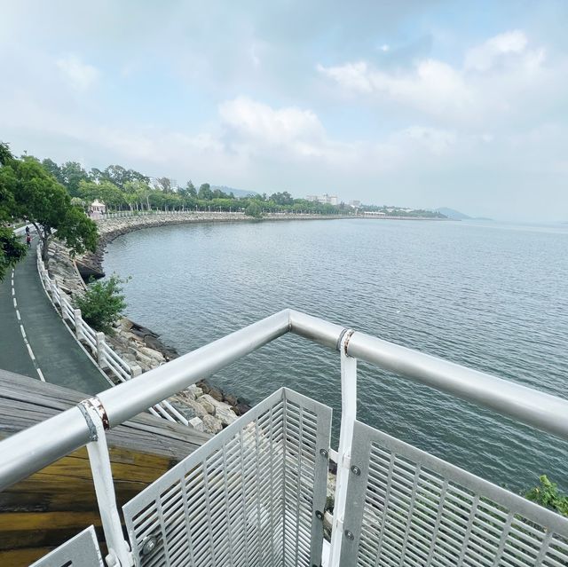 賞花攻略 大埔海濱公園