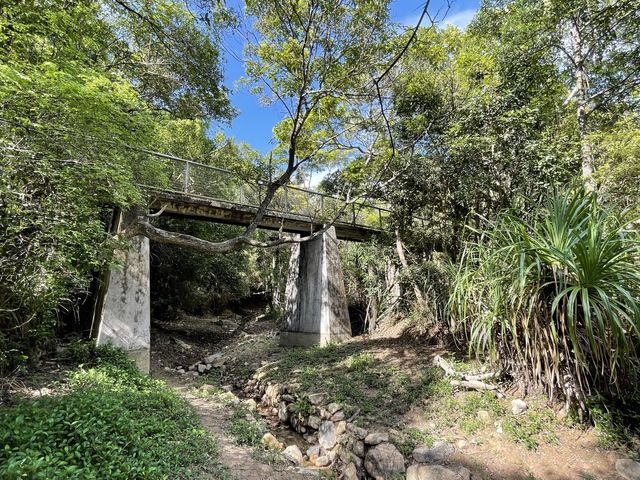灣仔➡️香港仔水塘短遊🌳