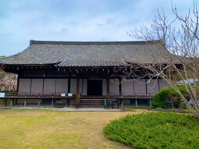 京都　SAKURA 桜めぐり❗️勧修寺の桜に感動❗️