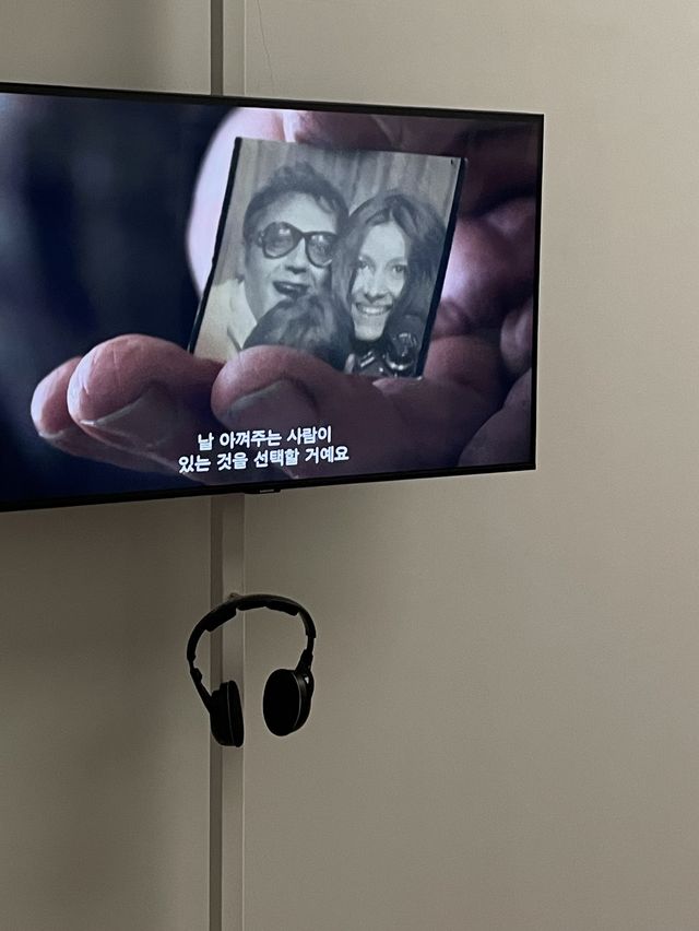 피크닉 전시회 - 사울 레이터 : 창문을 통해 어렴풋이