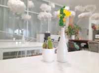 Cloud cafe & studio ☁️