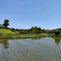 【滋賀県近江八幡市】ラコリーナのコレは何？