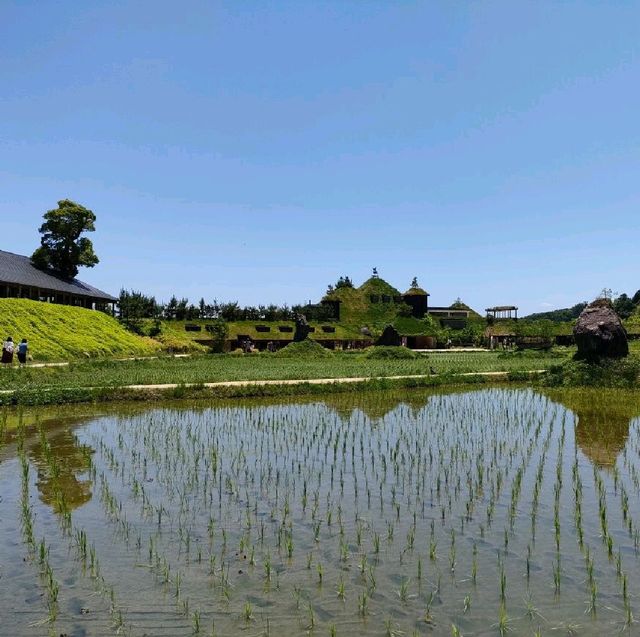 【滋賀県近江八幡市】ラコリーナのコレは何？