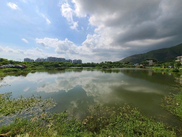 細看錦田一日遊😚