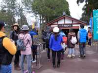 烏雞庵 金澤東山店 特色的金箔雞蛋糕