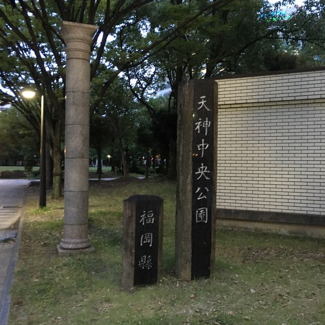 都会の緑地【天神中央公園】