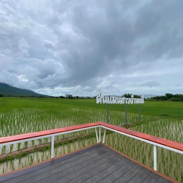 ทิวผาคาเฟ่