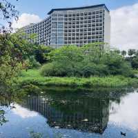 綠意盎然🌳🌿松山文創園區 Songshan Cultural and Creative Park