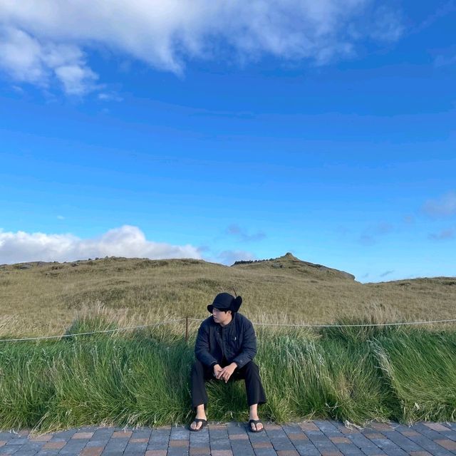 아이슬란드 최고의 절벽 "디르홀레이"