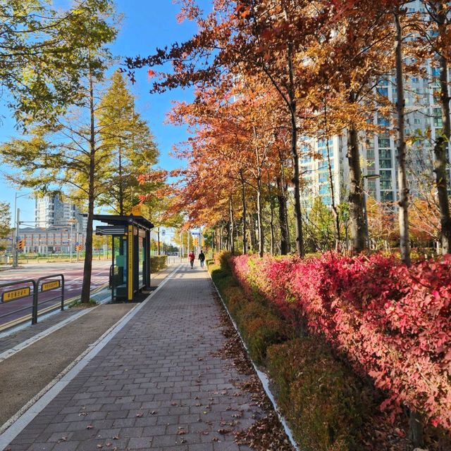 인천의 가을 단풍 유명 스팟 인천대공원을 가보자