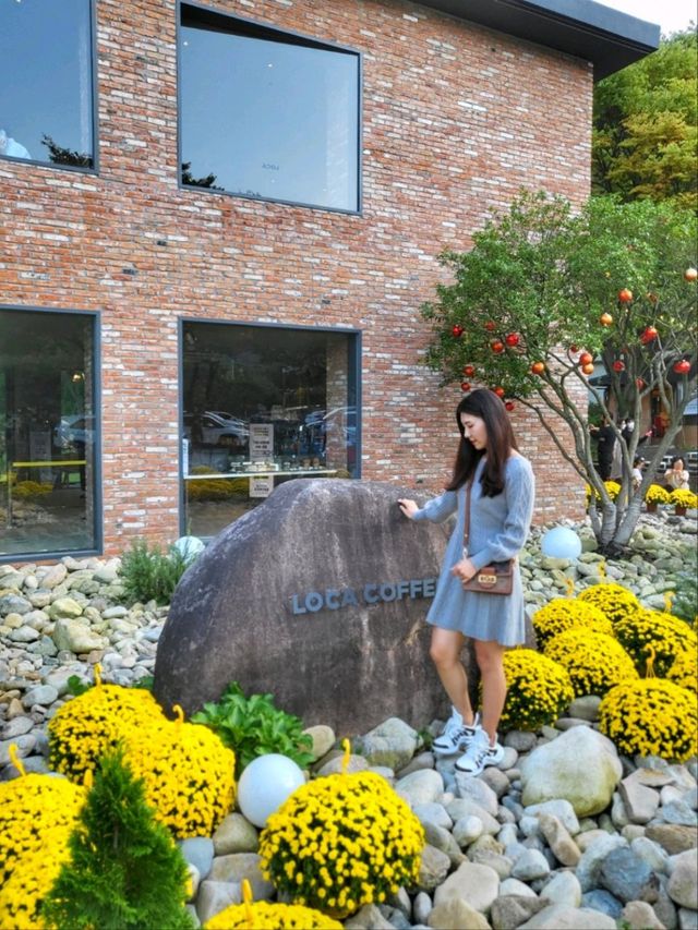 사계절 모두 아름다운 폭포뷰 청도카페 로카커피🏡