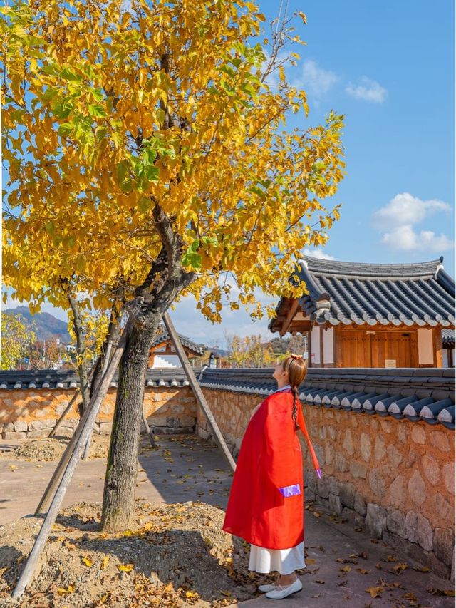 태평성대경상감영 속 상주 한옥 피크닉 카페