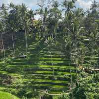 A corner of Paradise , Bali Island 