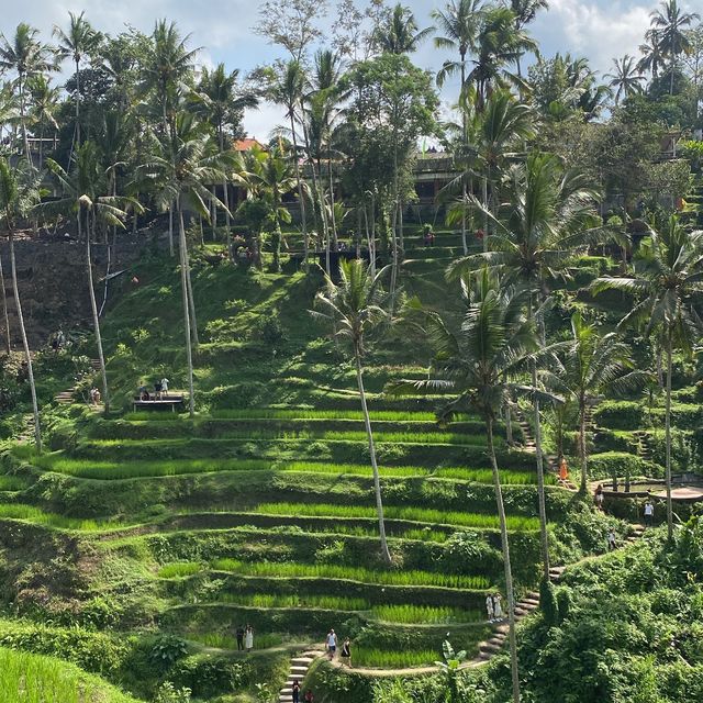 A corner of Paradise , Bali Island 