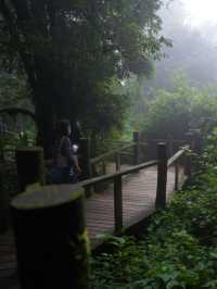 มารับลมหนาวที่ ดอยอินทนนท์ จ.เชียงใหม่ ✨🍃🏔️