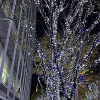 도쿄 크리스마스마켓🎄❄️🎅