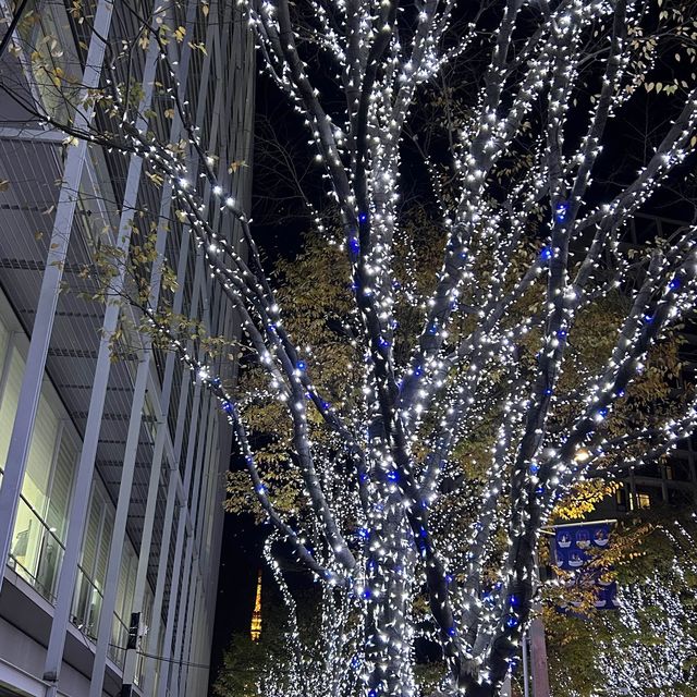 도쿄 크리스마스마켓🎄❄️🎅