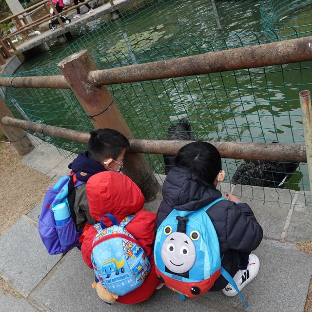 [親子郊外遊] 大棠有機生態園