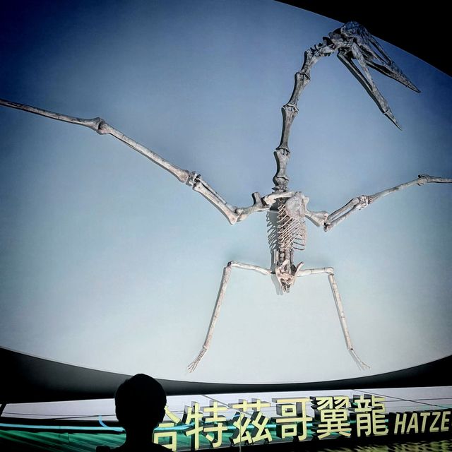 小心！ 🦖🦕嚟啦！