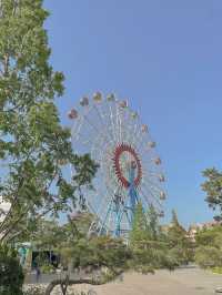 스릴넘치는 놀이기구가 가득한 경주월드🎢🎡