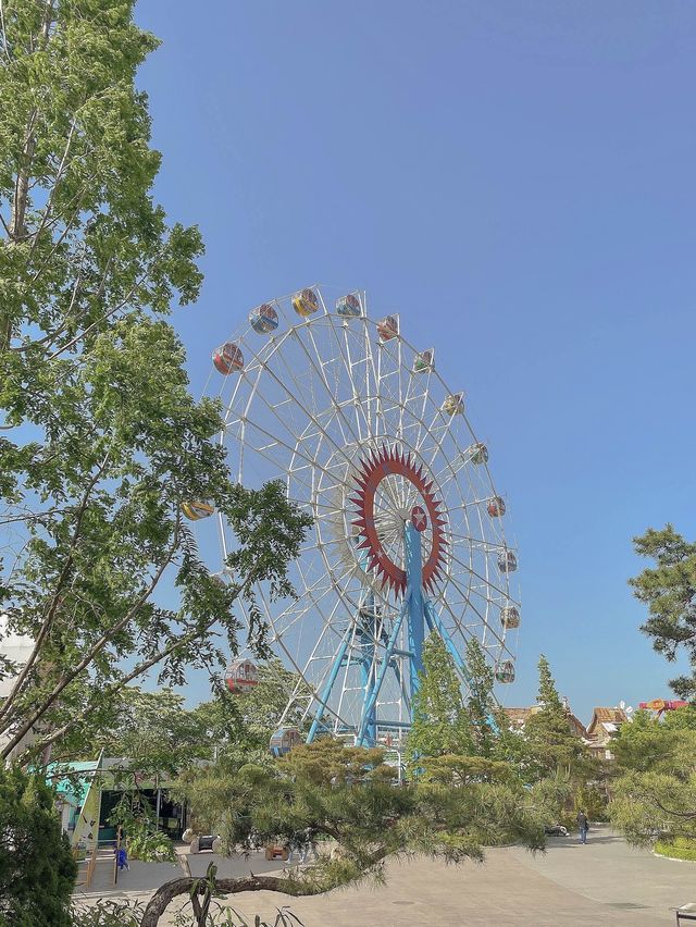 스릴넘치는 놀이기구가 가득한 경주월드🎢🎡