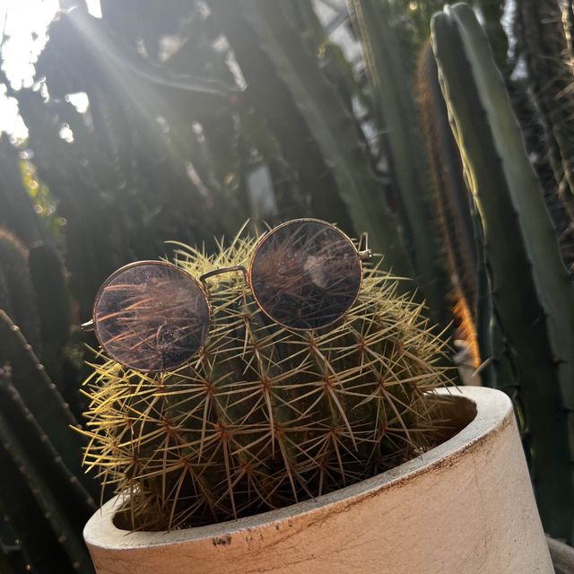 大埔林村隱世打卡植物園Botanic Union