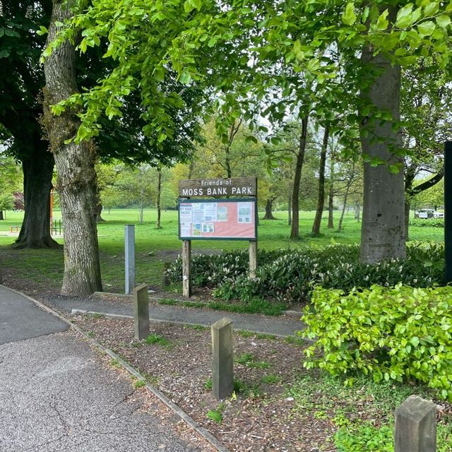 英國曼徹斯特 超大綠化公園 欣賞不同種類嘅植物
