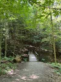 Ledges Trail Cuyahoga-Beautiful 