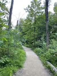 Brandywine Waterfall