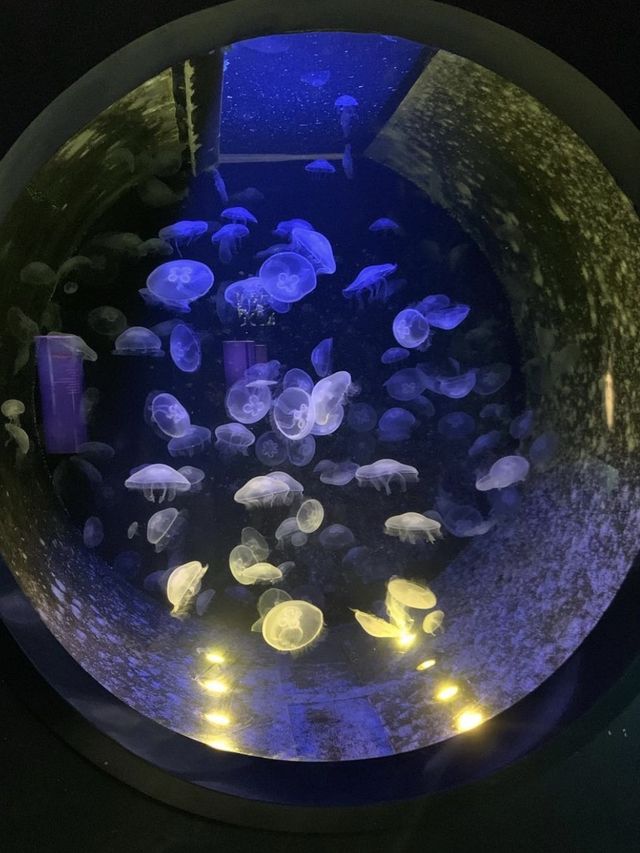 CretAquarium - Crete Island, Greece