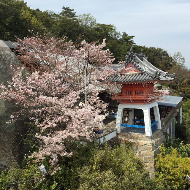 千光寺公園