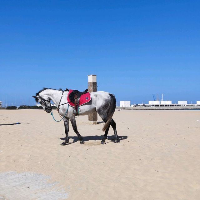 La Plage Municipale La Plage Municipale