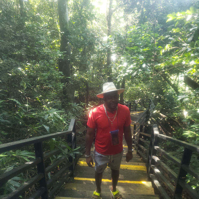 Yalong Bay Tropical Paradise Forest Park 