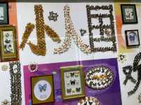 Art made from butterfly wings?