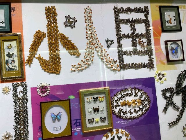 Art made from butterfly wings?