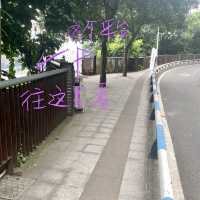 重庆李子坝｜无人机位 俯瞰轻轨