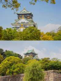 Osaka Castle | Witness the peak of the Toyotomi Hideyoshi era
